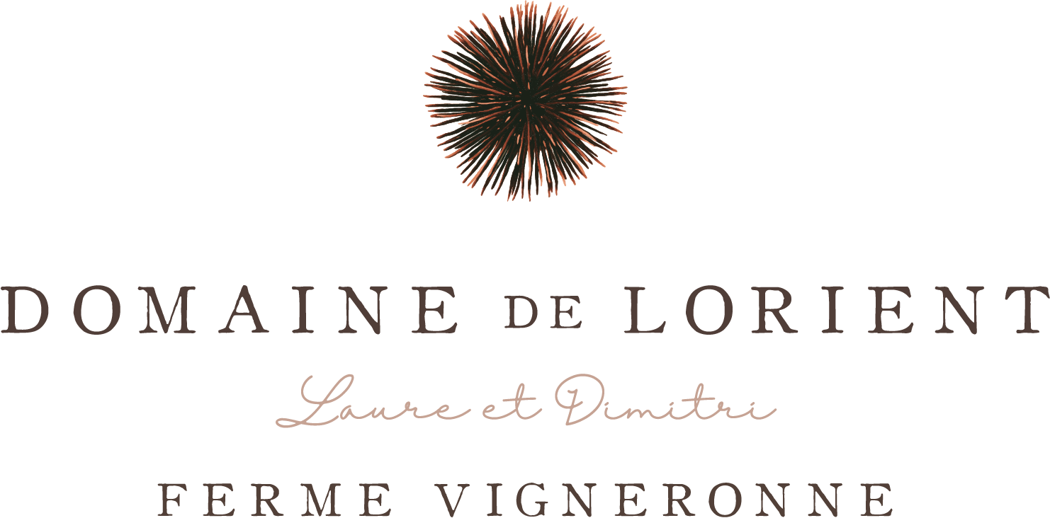 Logo Domaine de Lorient
