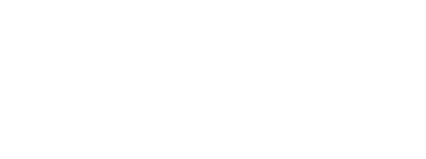 Logo Lot N40