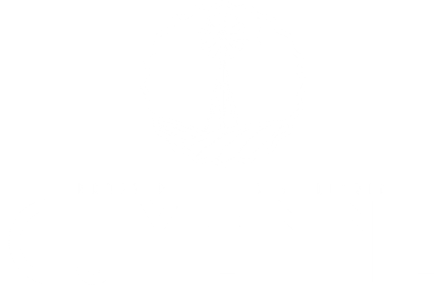 Logo Distillerie Guyenne